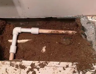 琼中测漏水哪家好