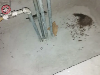 琼中卫生间测漏水价格明细