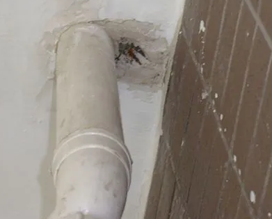 琼中漏水检测哪家好